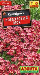 Саксифрага (камнеломка) Коралловый мох (Аэлита)
