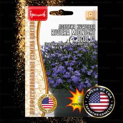 Лобелия кустовая Riviera Midnight Blue F1 (Григорьев)