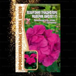 Пеларгония крупноцветковая Maverick Violet F1 (Григорьев)