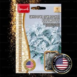 Цинерария приморская Silverdust (Григорьев)