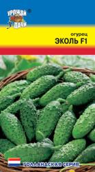 Огурец Эколь F1 (Урожай удачи)