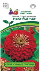 Цинния Нью Йоркер (Партнер)