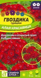 Гвоздика турецкая Алая красавица двулетняя (Семена Алтая)