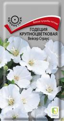 Годеция Вейсер страус (Поиск)