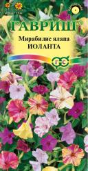 Мирабилис Иоланта (Гавриш)