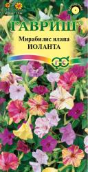 Мирабилис Иоланта (Гавриш)