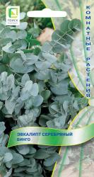 Эвкалипт серебряный Бинго (Поиск)
