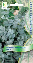 Эвкалипт серебряный Бинго (Поиск)