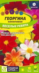 Георгина Веселые ребята, смесь (Семена Алтая)