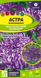 Астра Седая дама синяя (Семена Алтая)