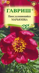 Пион уклоняющийся Марьюшка (Гавриш)
