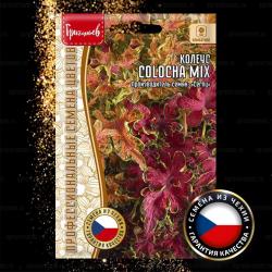 Колеус Colocha Mix (Григорьев)