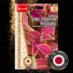 Колеус Giant Exhibition Rustic Red (Григорьев)