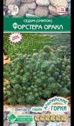 Седум Форстера Оракл (Евро семена)
