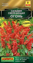 Сальвия сверкающая Огонь (Аэлита)