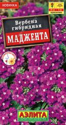 Вербена Маджента (Аэлита)