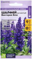 Шалфей мучнистый Виктория блю (Семена Алтая)
