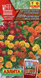 Бархатцы rкарликовые Хэппи, смесь (Аэлита)