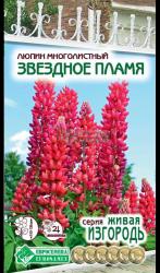 Люпин Звездное пламя многолетний (Евро семена)