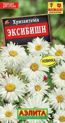 Хризантема Эксибишн многолетняя (Аэлита)