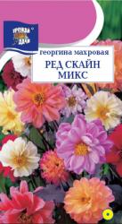 Георгина Ред скайн микс (Урожай Удачи)