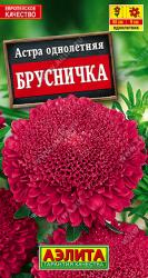 Астра Брусничка (Аэлита)