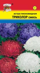 Астра Триколор (Урожай удачи)