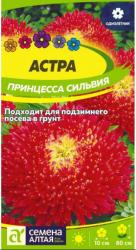 Астра Принцесса Сильвия карминно-красная (Семена Алтая)