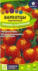 Бархатцы Примо хармони (Семена Алтая)
