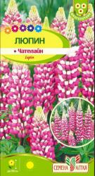 Люпин Чателайн многолетний (Семена Алтая)