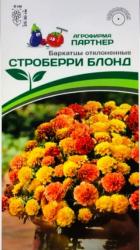 Бархатцы Строберри блонд отклоненные (Партнер)