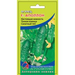 Огурец Аполлон (Агросемтомс)
