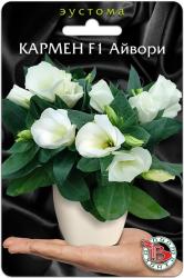 Эустома Кармен Айвори F1 (Биотехника)