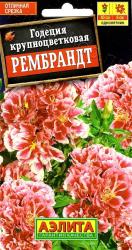 Годеция Рембрандт (Аэлита)