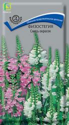 Физостегия, смесь (Поиск)