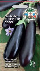 Баклажан Черный ворон (СеДек)