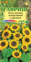 Подсолнечник декоративный Санспот (Гавриш)
