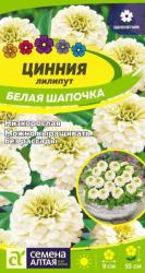 Цинния Лиллипут Белая шапочка (Семена Алтая)