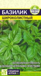 Базилик Широколистный (Семена Алтая)
