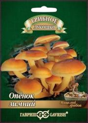 Опенок зимний на древесной палочке (Гавриш)