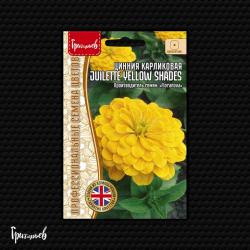 Цинния Juilette Yellow Shades (Частная коллекция)