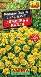 Бархатцы Лимонная капля (Аэлита)