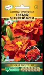 Бархатцы Алюмия ягодный крем (Евро семена)