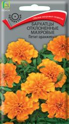 Бархатцы Петит оранжевые (Поиск)