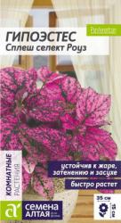 Гипоэстес Сплеш селект роуз (Семена Алтая)