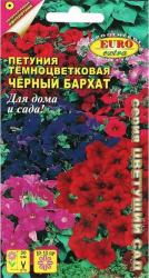 Петуния Черный бархат, смесь F1 (Аэлита)