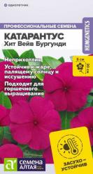 Катарантус Хит вейв бургунди (Семена Алтая)
