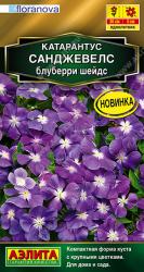 Катарантус Санджевелс блуберри шейдс F1 (Аэлита)