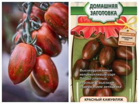 Томат Красный камуфляж (Поиск)