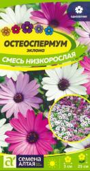 Остеоспермум Эклона, смесь (Семена Алтая)